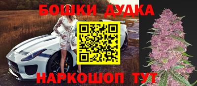 гидра Берёзовский