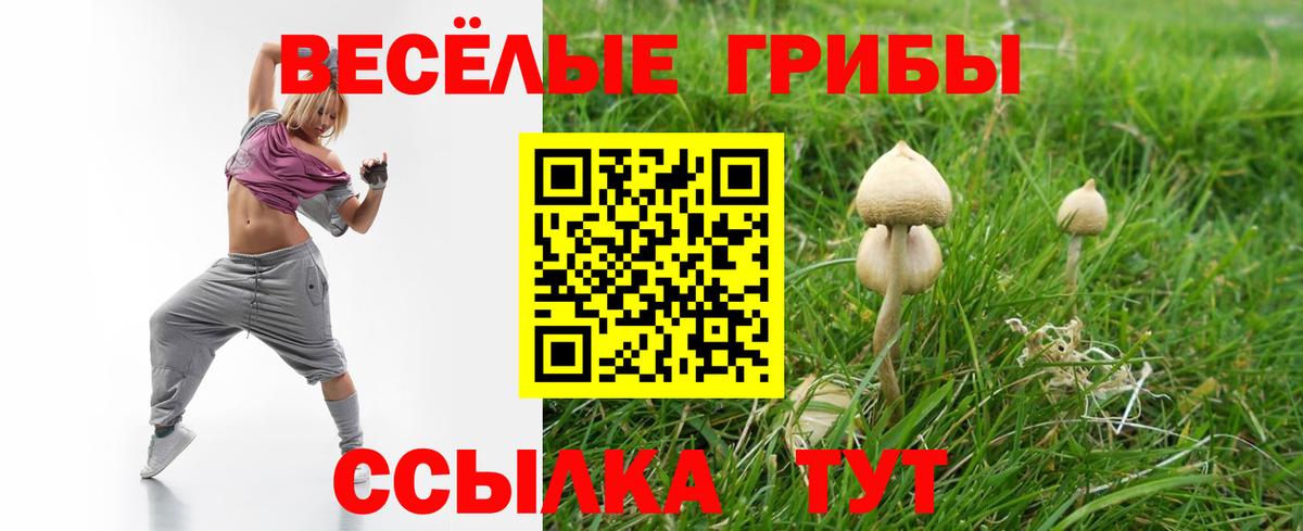 Псилоцибиновые грибы Psilocybe Канаш