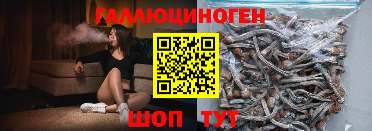 Канаш  Псилоцибиновые грибы Psilocybe  Псилоцибиновые грибы GOLDEN TEACHER  Вход с VPN 