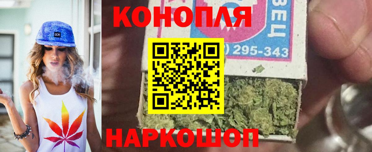 Канаш  Бошки марихуана тримм  Вход с VPN  Бошки марихуана планчик 